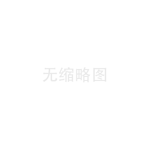 东莞IT公司如何应对竞争压力